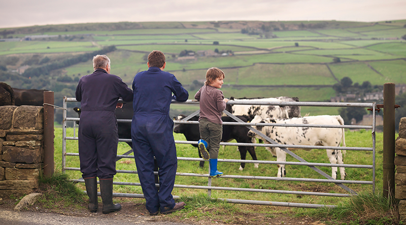 Father, son, and grandson looking out over farmland